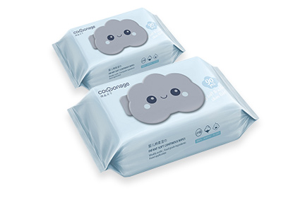 ভেজা মোছা