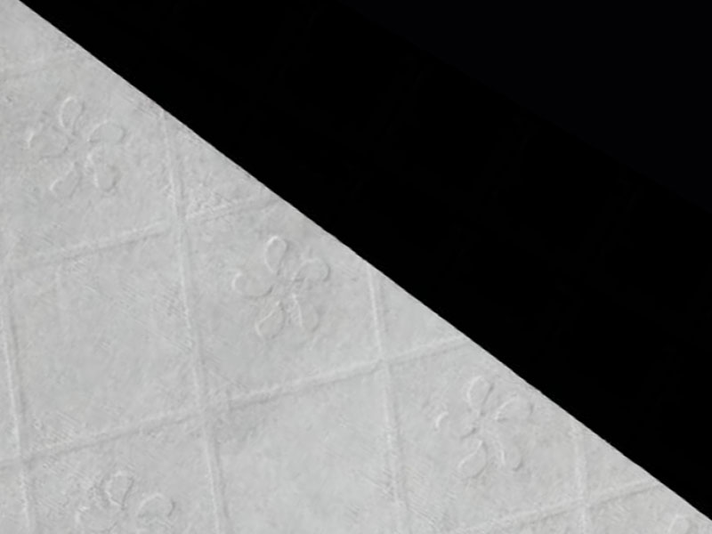 টয়লেট পেপারের জন্য ভিসকোস/পাল্প ফ্লাশেবল ফ্যাব্রিক