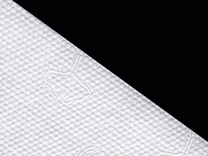 ভিসকোস এবং পলিয়েস্টার জিঙ্কগো ডট স্টাইল স্পুনলেস নন বোনা শুকনো বা ভেজা মোছার জন্য